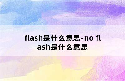 flash是什么意思-no flash是什么意思